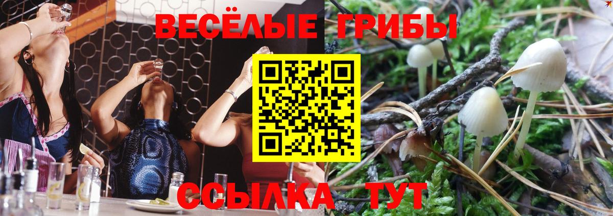 Галлюциногенные грибы мухоморы Аша